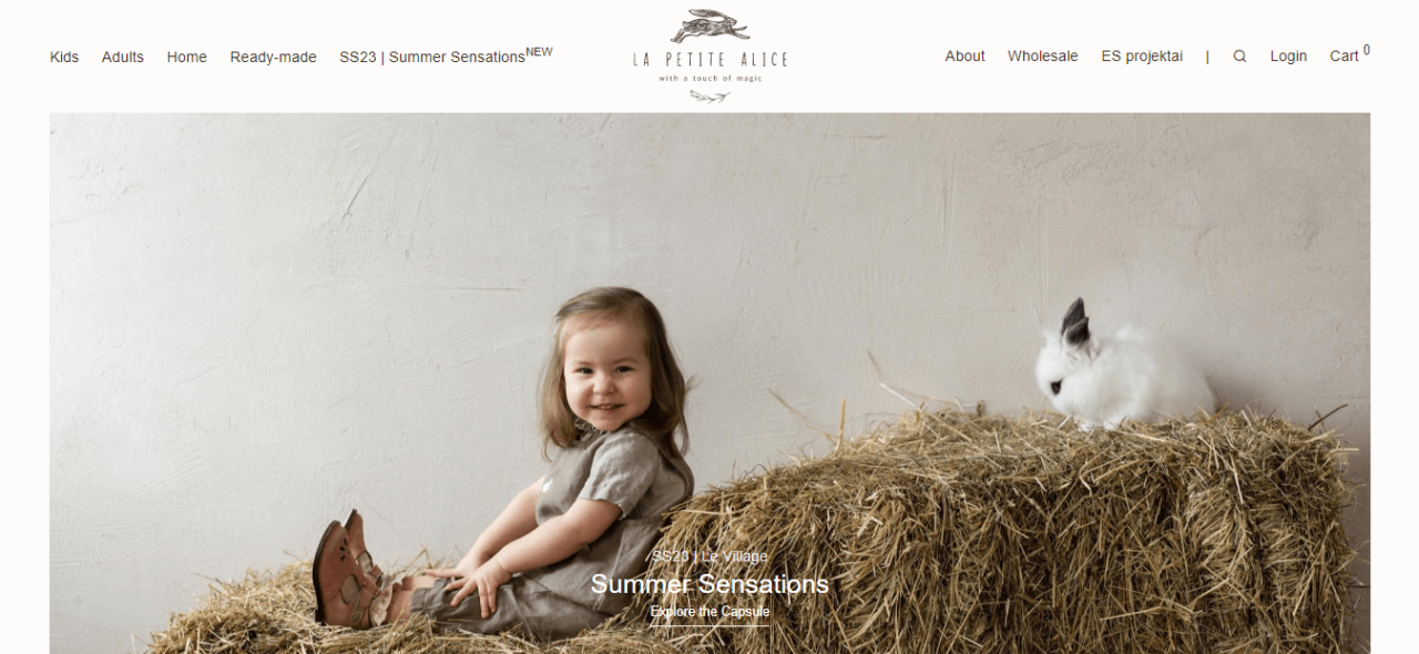 Hostinger: 20 Top Small Business Website Examples: From Clothing Stores to Restaurants